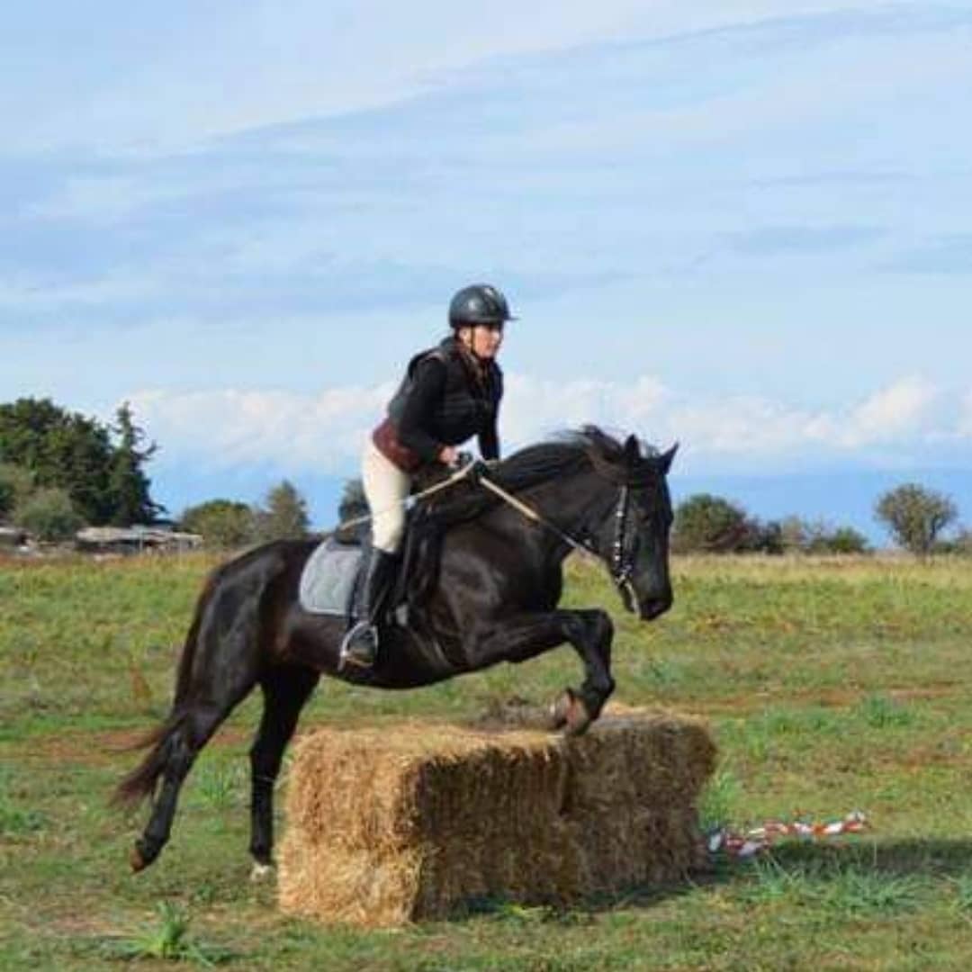 images/riding%20lessons/241856083_1954795281364049_2997607217340712362_n.jpg#joomlaImage://local-images/riding lessons/241856083_1954795281364049_2997607217340712362_n.jpg?width=1080&height=1080